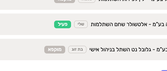התאמת הדוח לשני בני הזוג
